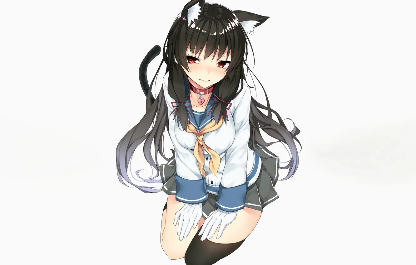 Photo wallpaper girl, school uniform, long hair, legs, boobs, animal ears, anime, beautiful