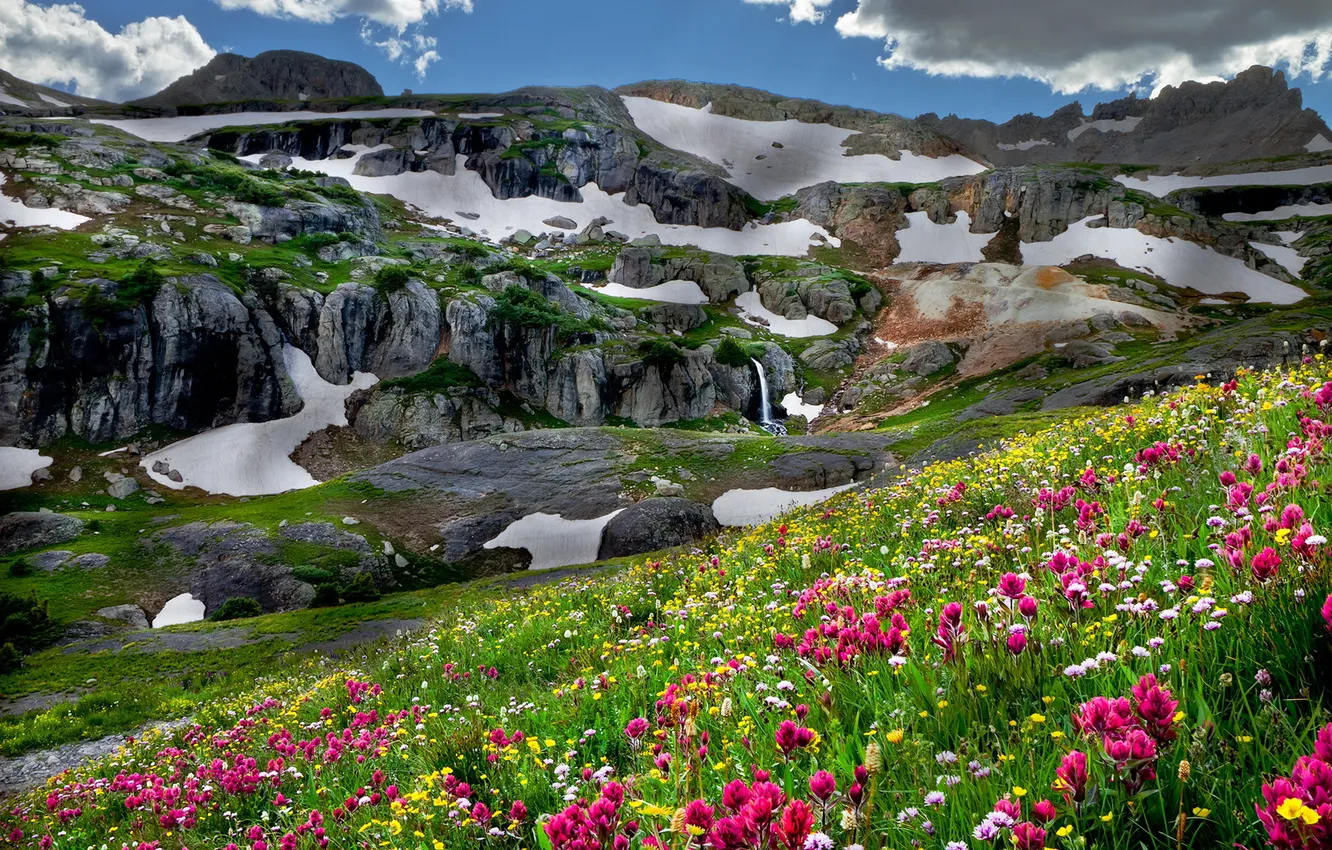 Photo wallpaper landscape, flowers, mountains