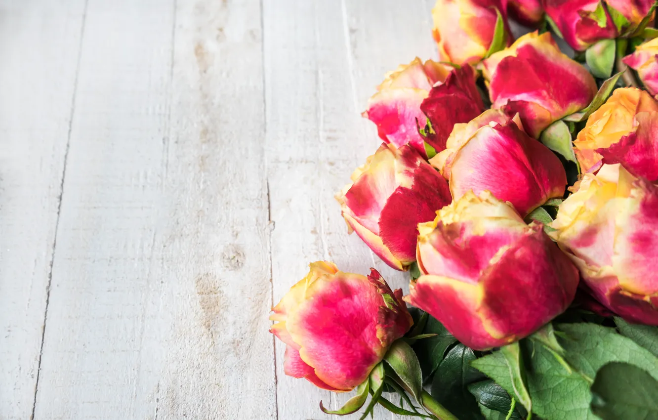 Photo wallpaper roses, bouquet, beautiful, buds, Iryna Melnyk