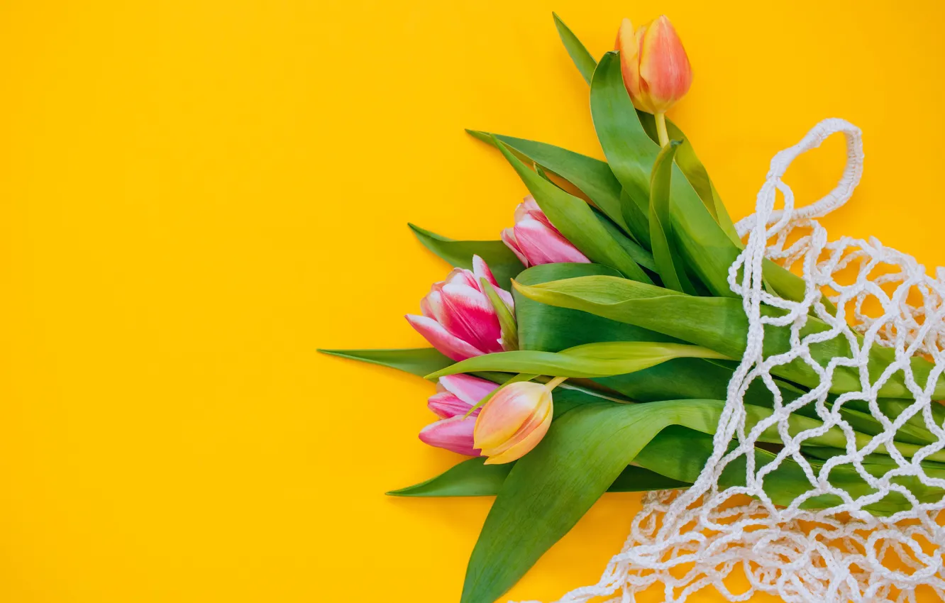 Photo wallpaper mesh, bouquet, tulips, buds