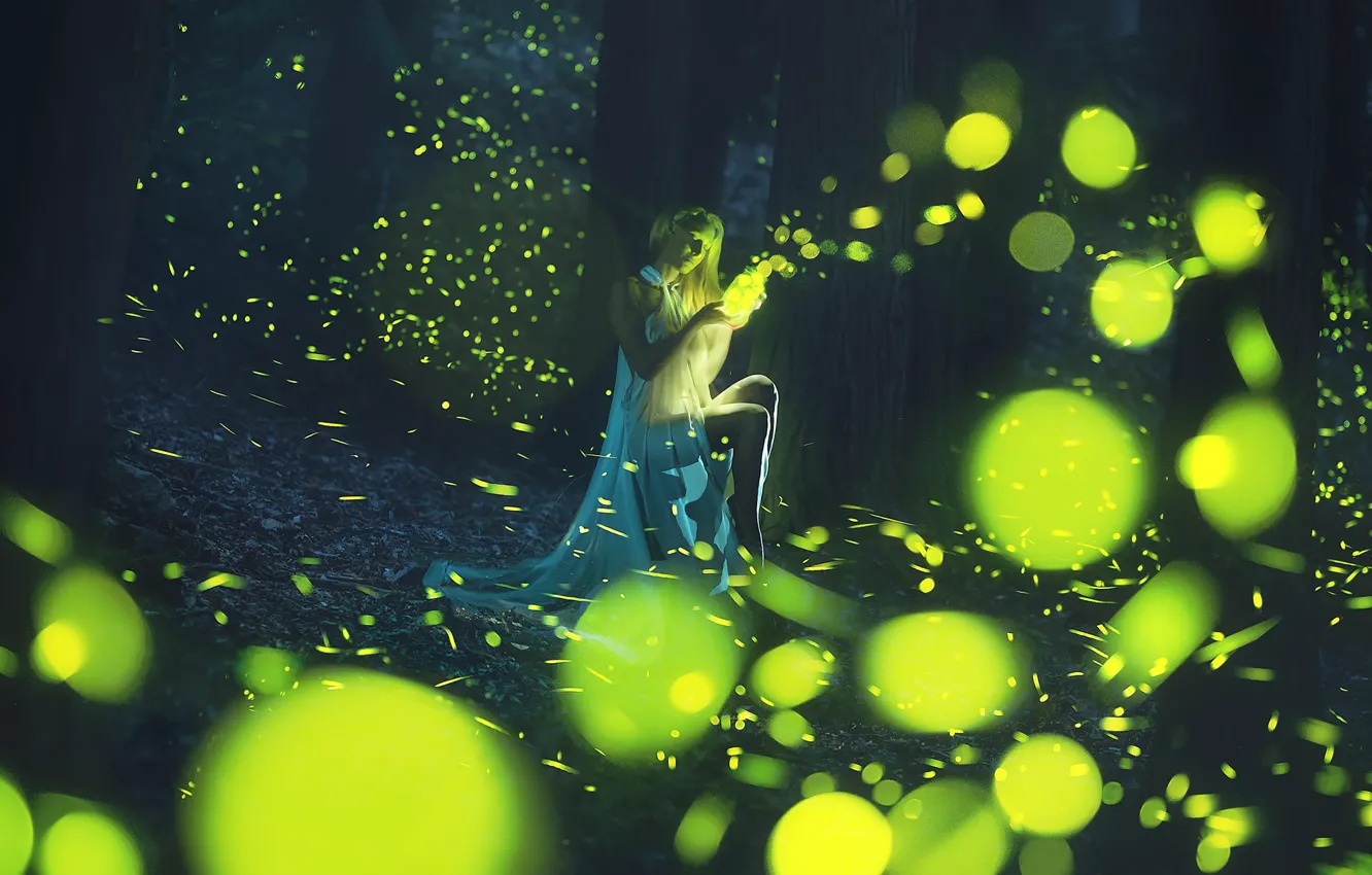 Photo wallpaper forest, girl, girl, forest, fireflies, fireflies, Paolo Lazzarotti