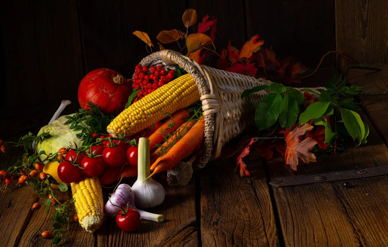 Photo wallpaper leaves, berries, basket, Board, corn, briar, pumpkin, horns