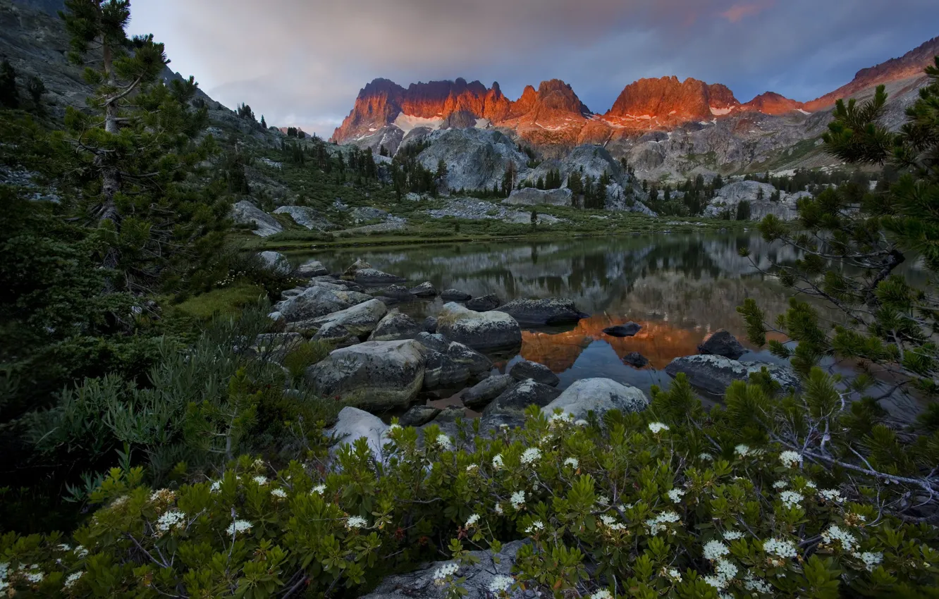 Photo wallpaper flowers, mountains, stones, shore