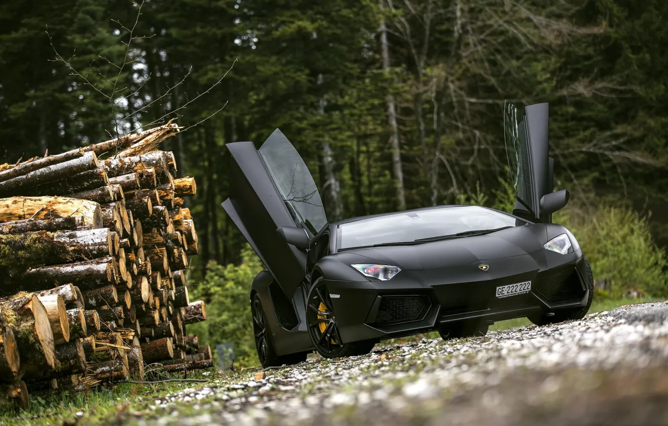 Photo wallpaper Lamborghini, Black, LP700-4, Aventador, Supercar, Forest, Trees