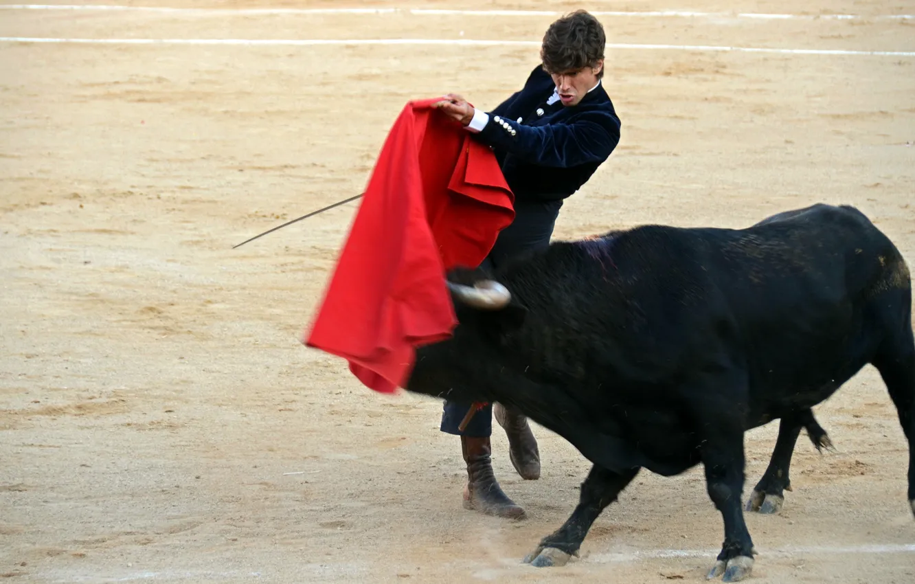 Photo wallpaper fiesta, Spain, bull, festival, toros
