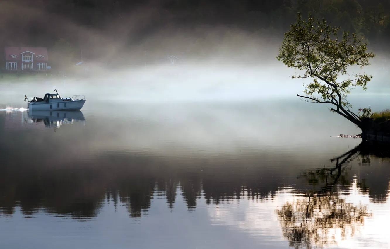 Photo wallpaper landscape, fog, lake, tree, boat, morning