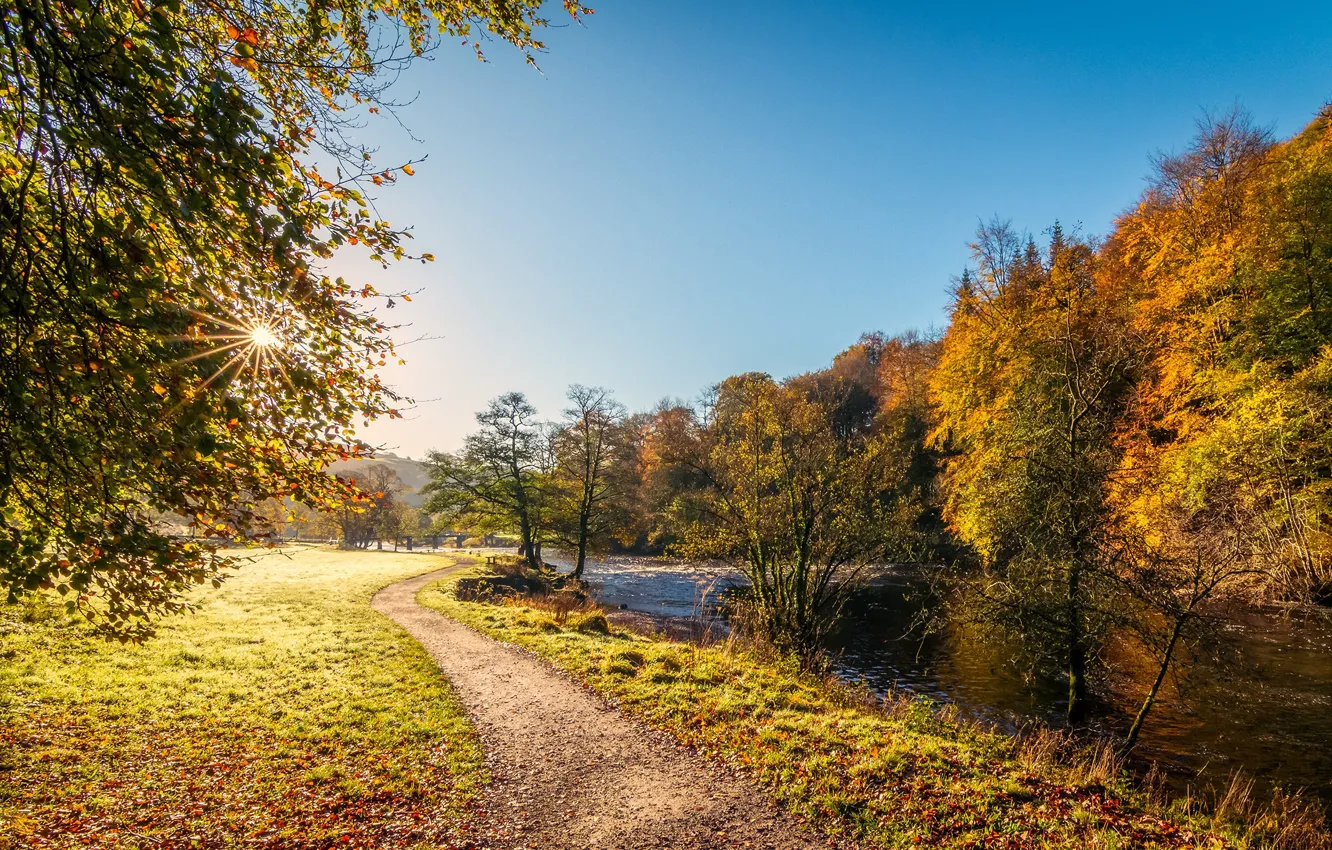 Photo wallpaper autumn, the sun, rays, trees, river, England, Yorkshire