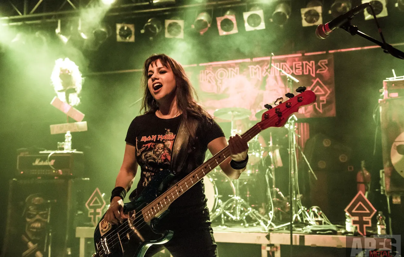 Photo wallpaper Concert, Group, Bass, The Iron Maidens