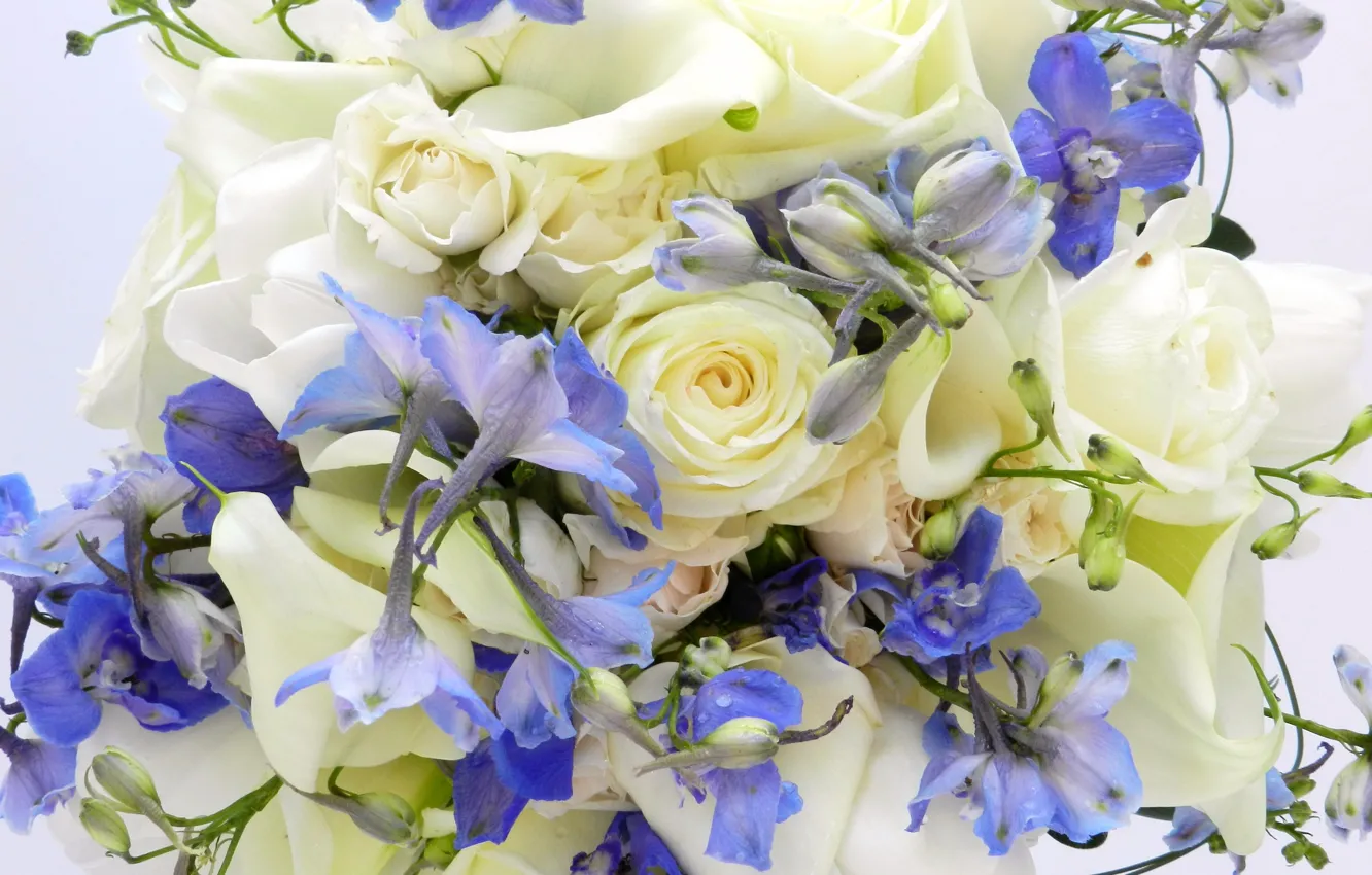 Photo wallpaper flowers, photo, roses, bouquet, Calla lilies