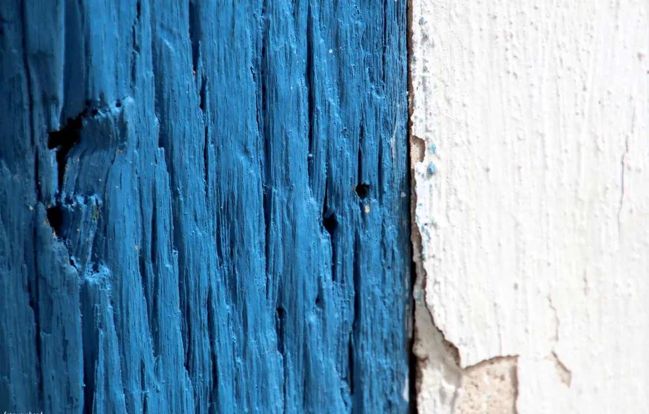 Photo wallpaper trees, old age, cracked, paint