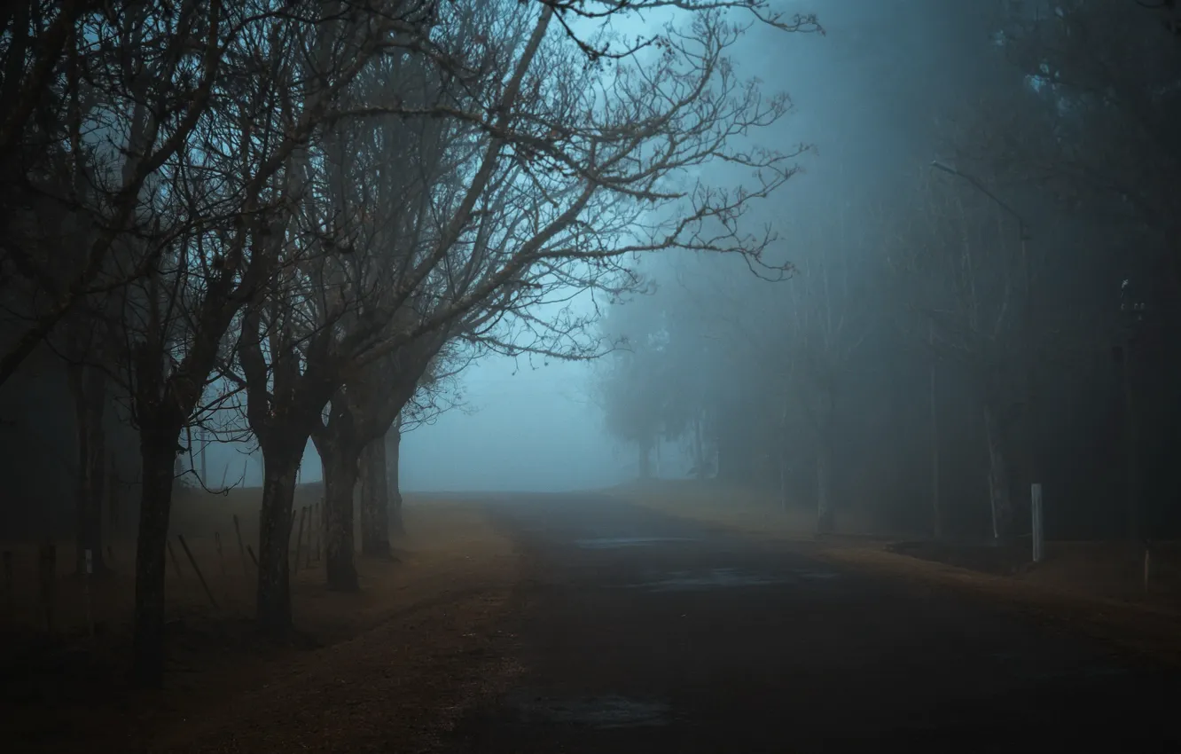 Photo wallpaper road, night, fog