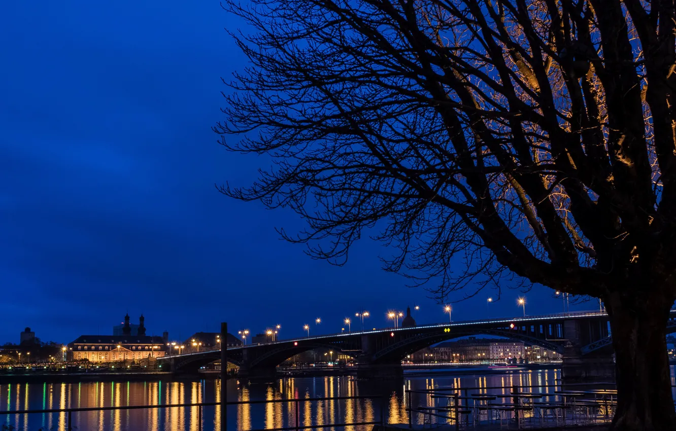 Photo wallpaper night, bridge, lights, river, Germany, Mainz