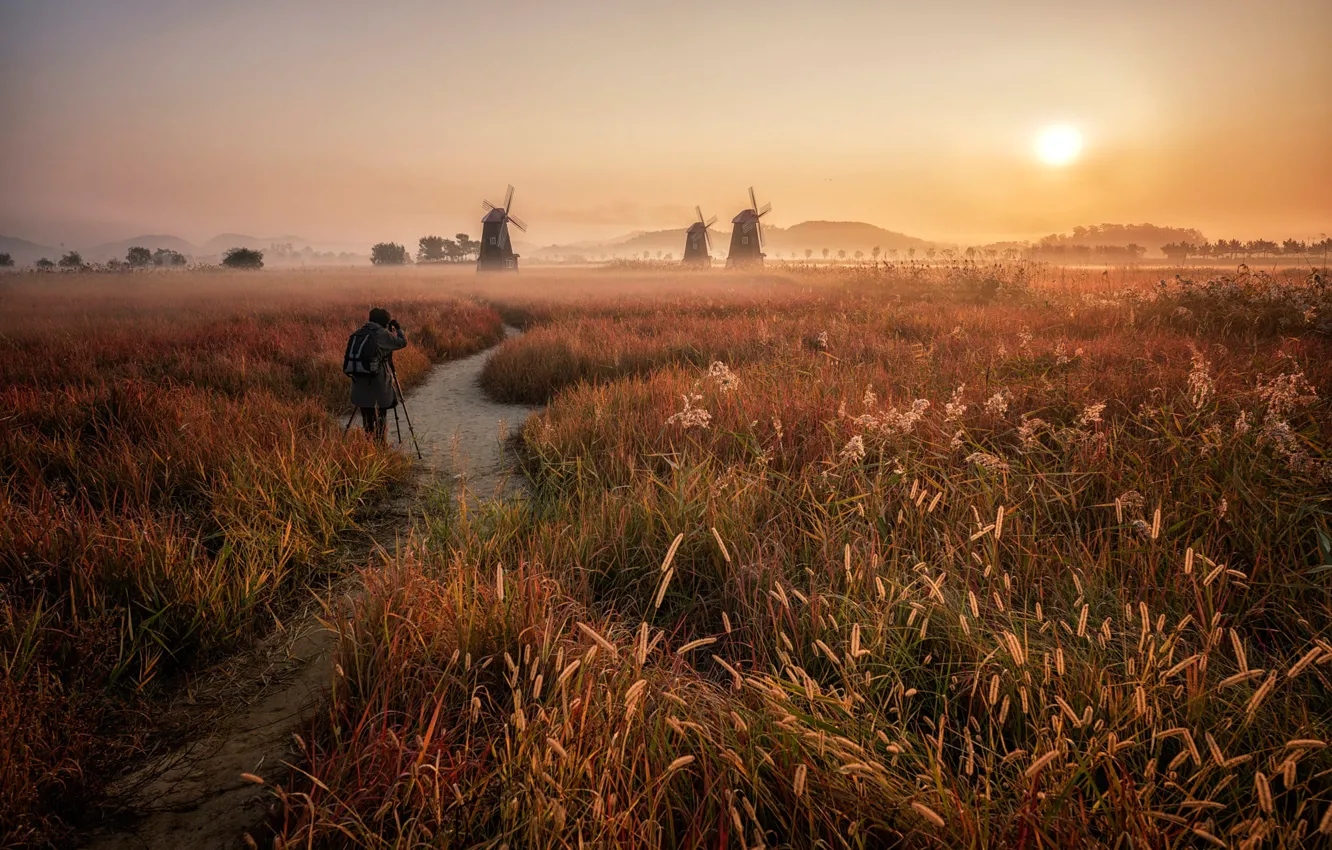 Photo wallpaper field, the sky, grass, the sun, light, landscape, nature, fog