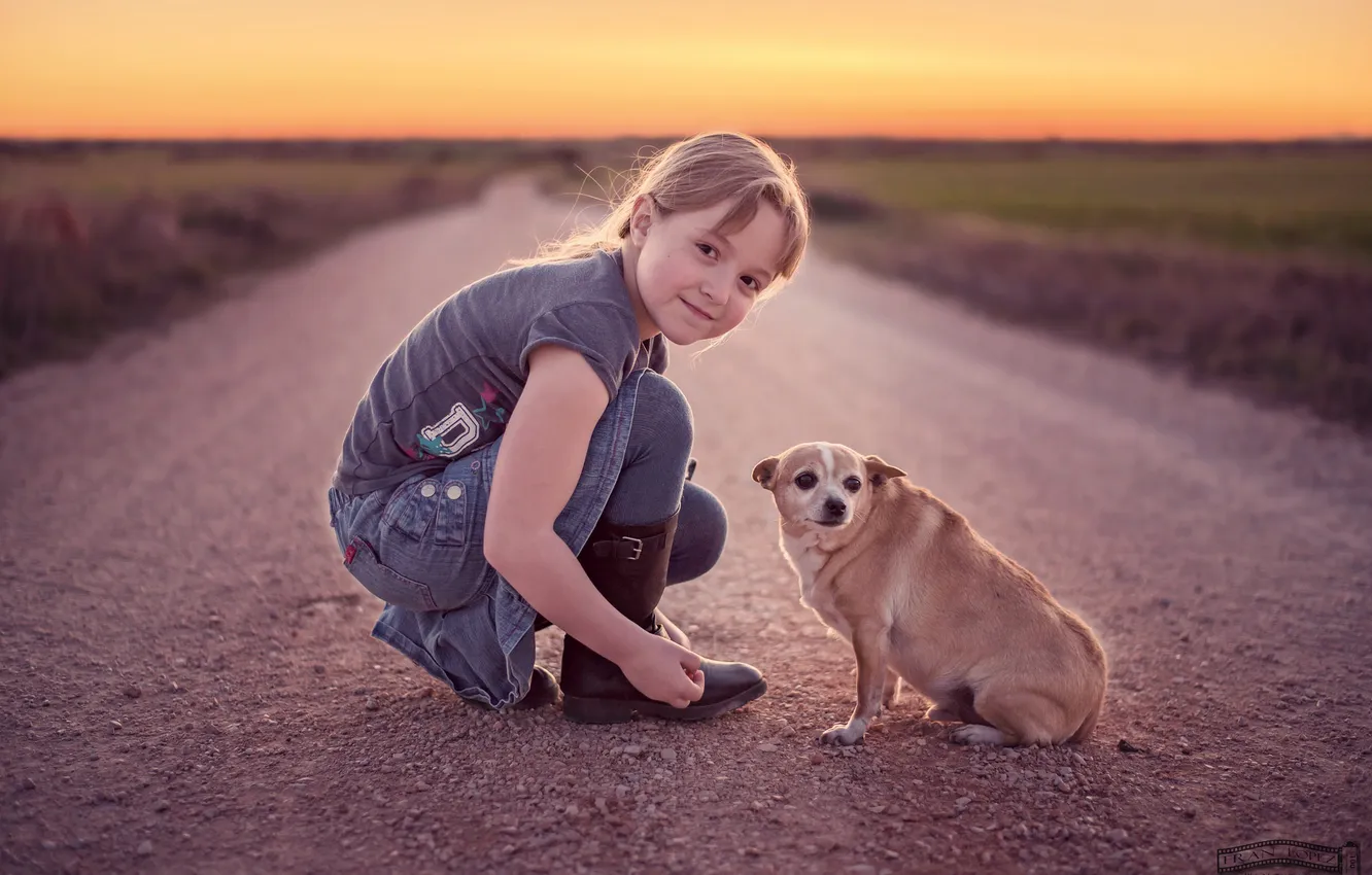 Photo wallpaper road, dog, girl