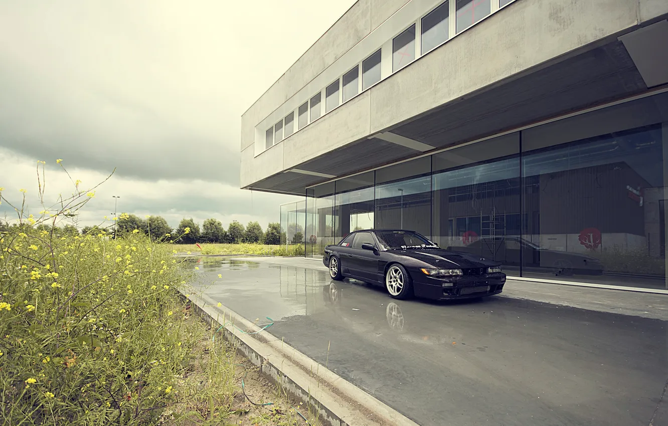 Photo wallpaper grass, overcast, Silvia, Nissan, Nissan, Sylvia, dark blue, dark blue