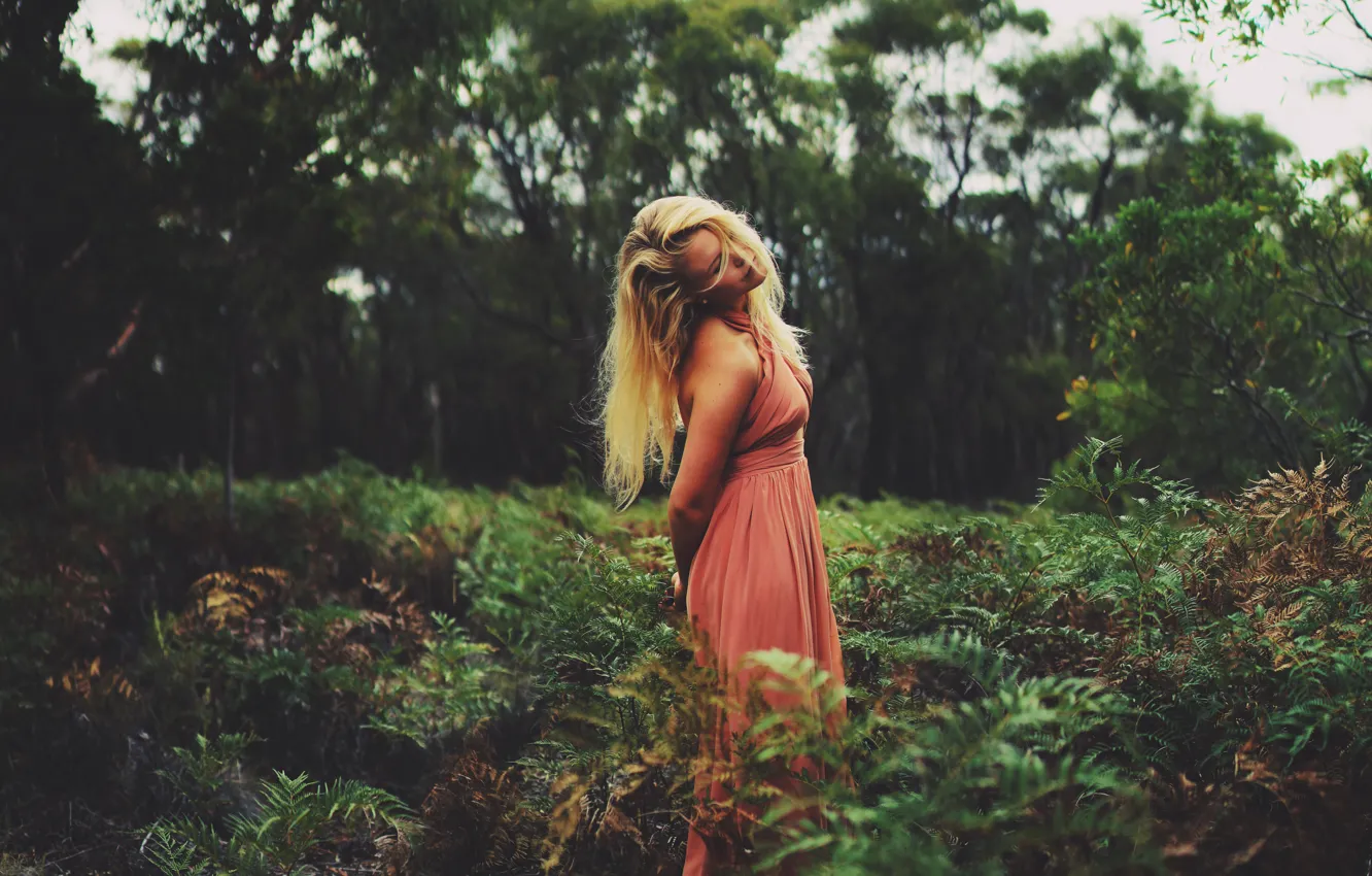 Photo wallpaper forest, dress, blonde