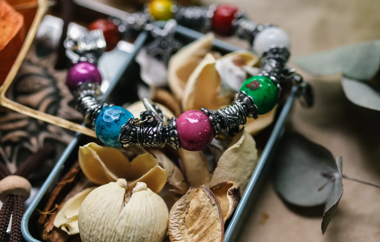 Photo wallpaper bracelet, jewelry, dried plants