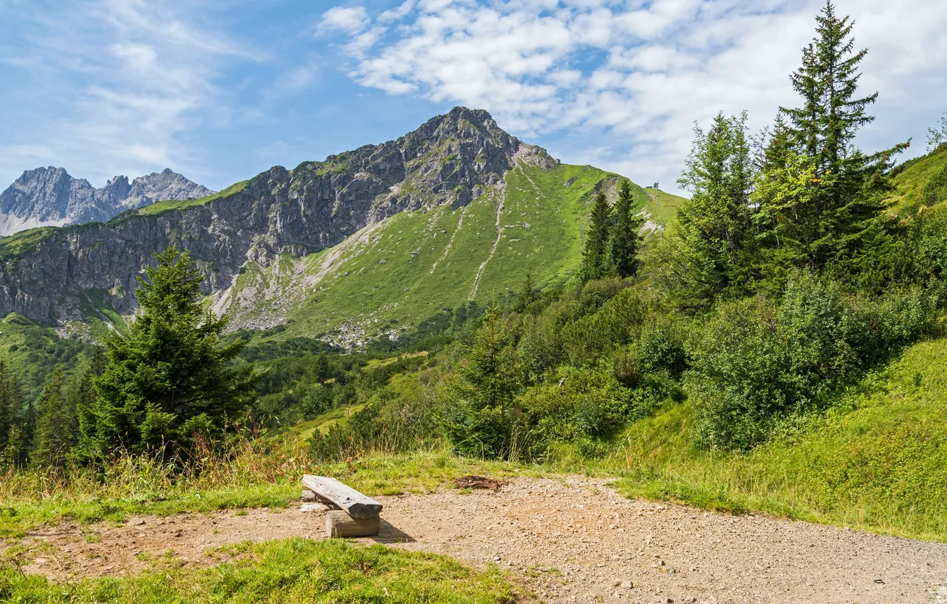 Photo wallpaper greens, the sky, the sun, trees, mountains, stones, rocks, trail