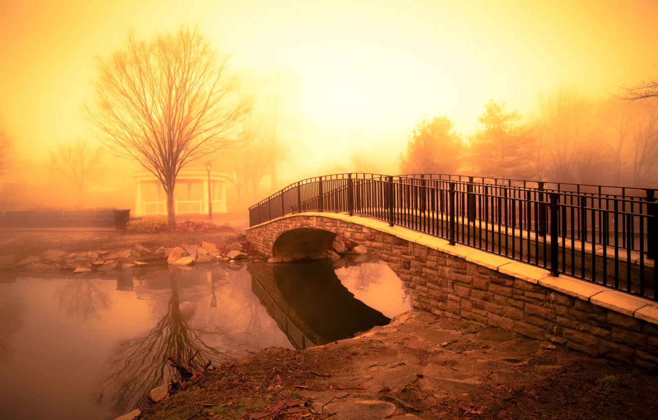 Photo wallpaper light, river, fog, pond, golden morning, footbridge