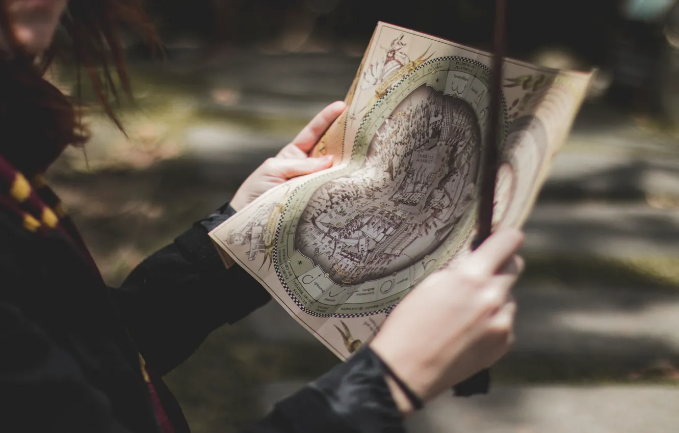 Photo wallpaper map, sticks, hands