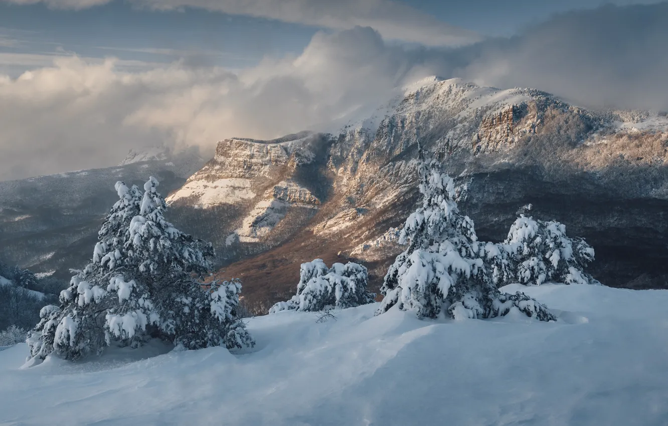 Photo wallpaper winter, clouds, snow, trees, landscape, mountains, nature, valley