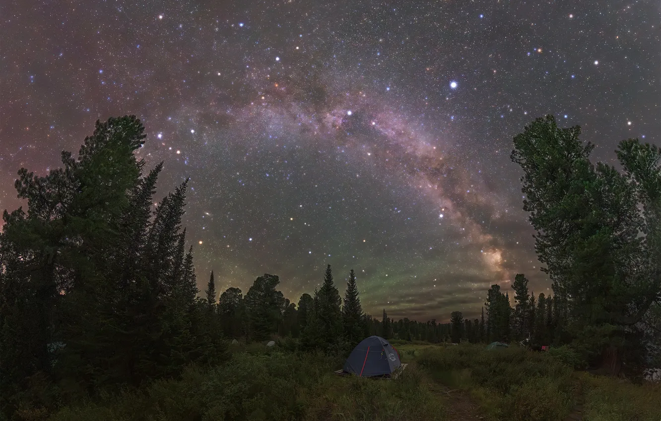 Photo wallpaper trees, glade, galaxy, tent, starry sky, Kudashkina Ksenia, Pleasant dreams traveler