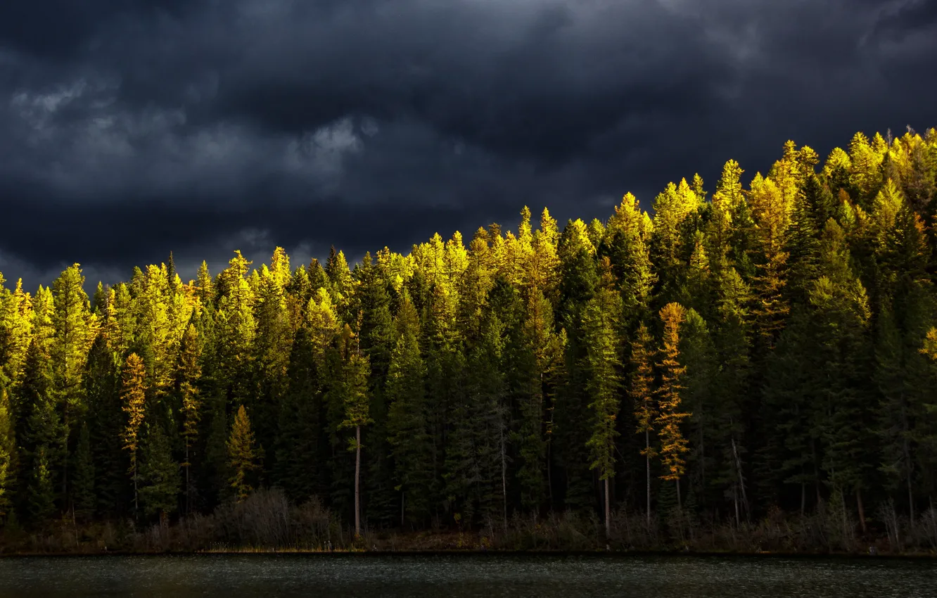 Photo wallpaper autumn, forest, the sky, light, clouds, shore, ate, lighting