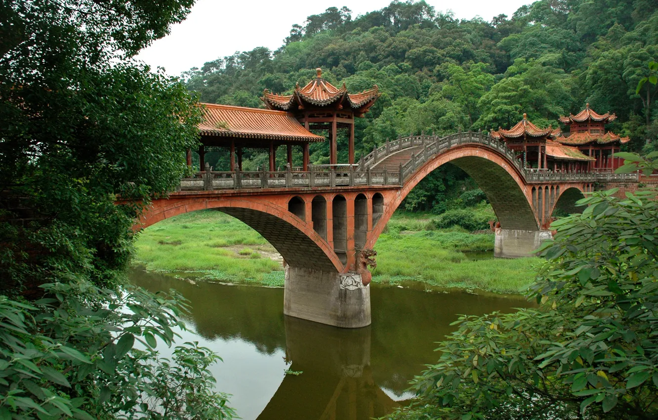 Photo wallpaper bridge, river, Floodplain
