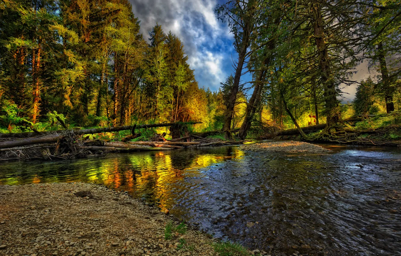 Photo wallpaper autumn, forest, landscape, nature, river, forest, river, landscape