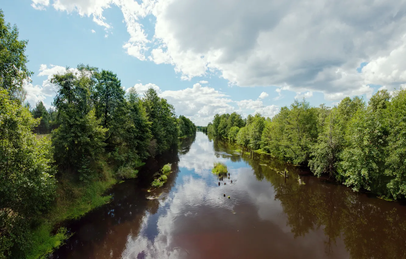 Photo wallpaper water, river, shore, for, perspective, stream, the bushes