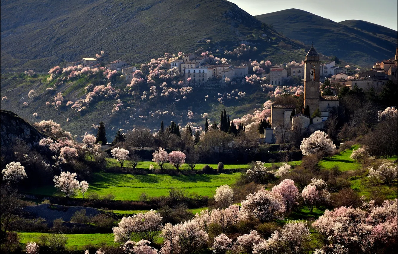 Photo wallpaper trees, mountains, the city, spring, flowering, Italia, Santo Stefano di Sessanio