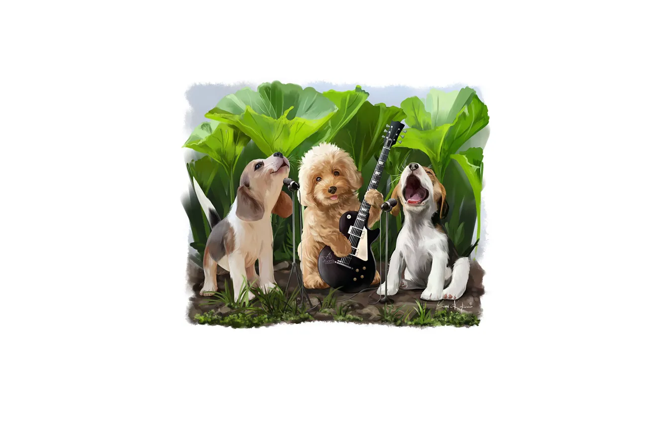 Photo wallpaper guitar, group, dog, sings, ensemble
