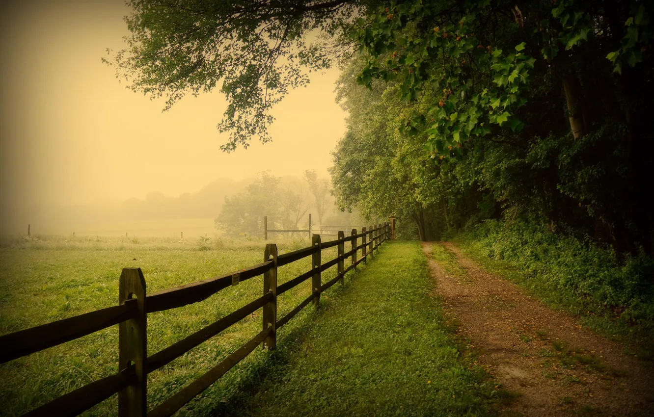 Photo wallpaper road, trees, nature, fog, the fence, USA, USA, PA