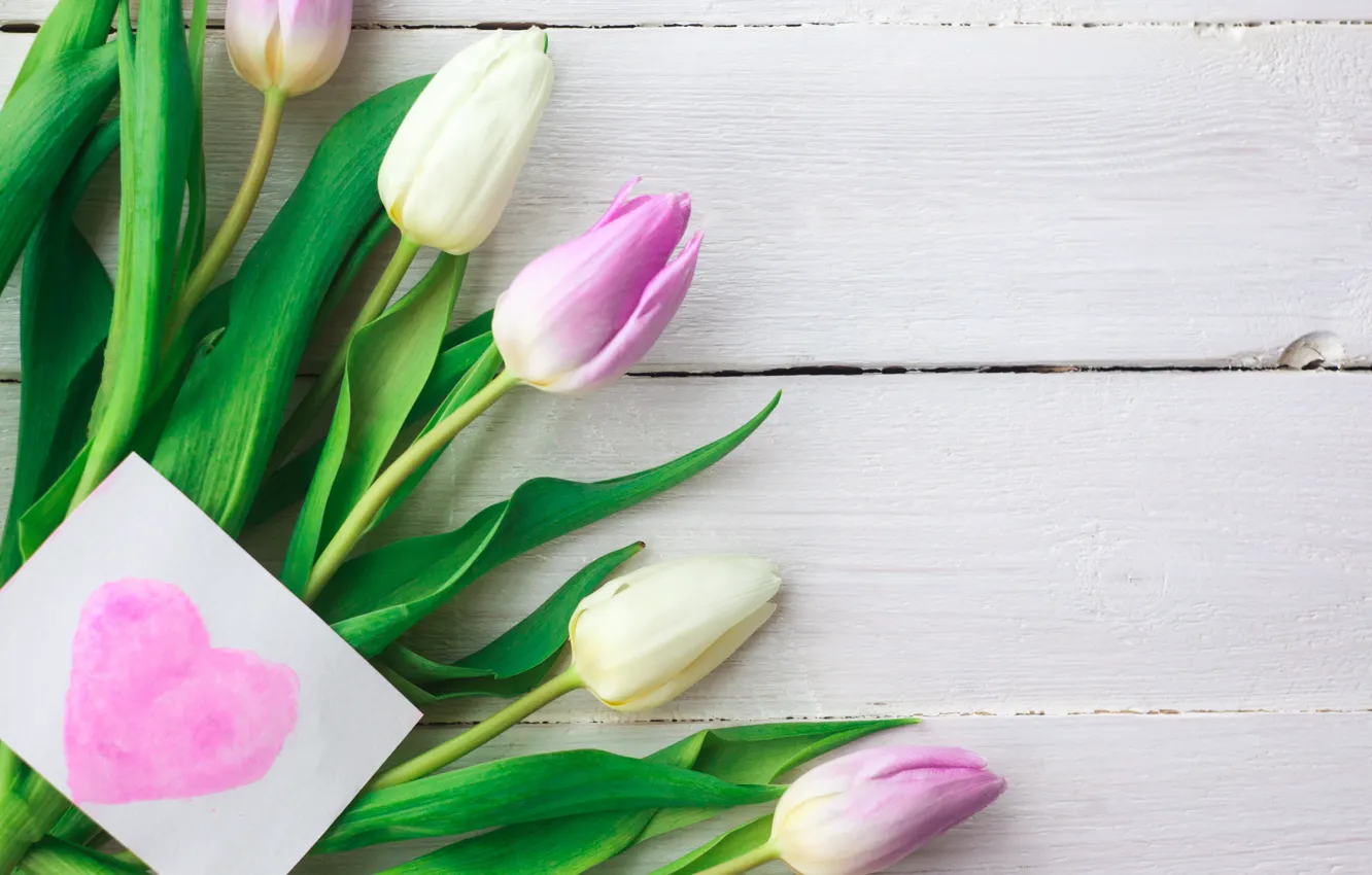 Photo wallpaper flowers, bouquet, tulips, pink, white, fresh, pink, flowers