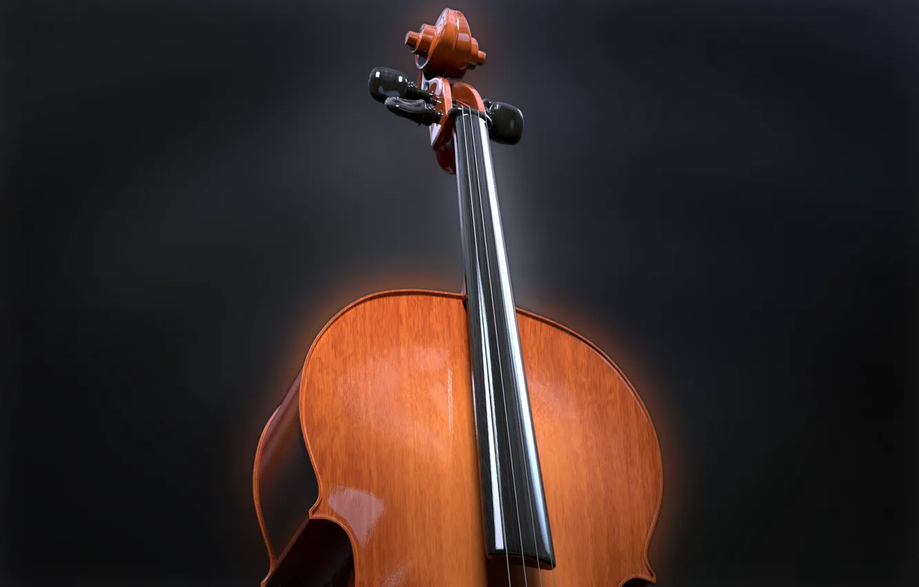 Photo wallpaper music, strings, cello, tool