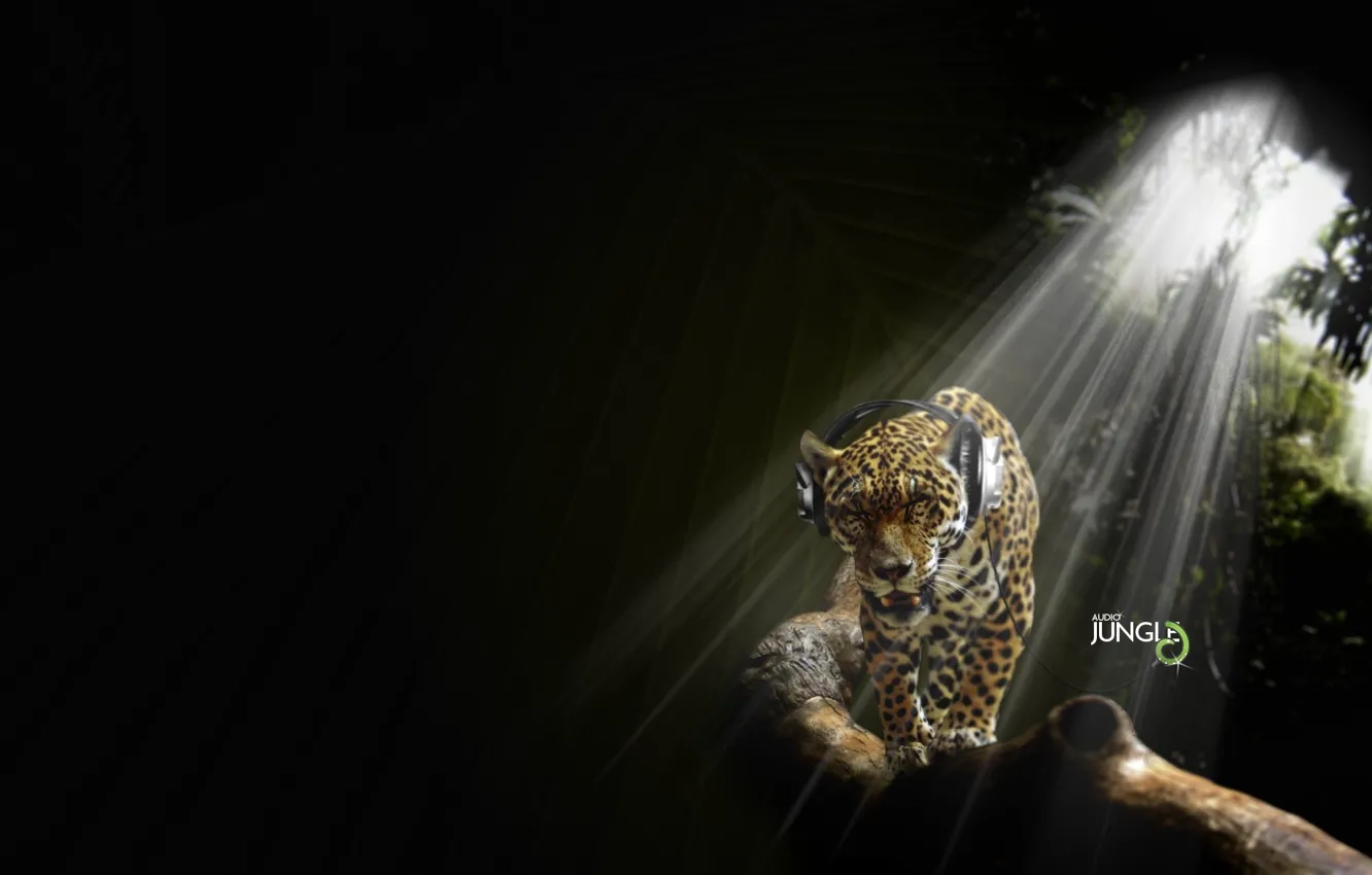 Photo wallpaper rays, headphones, Jaguar