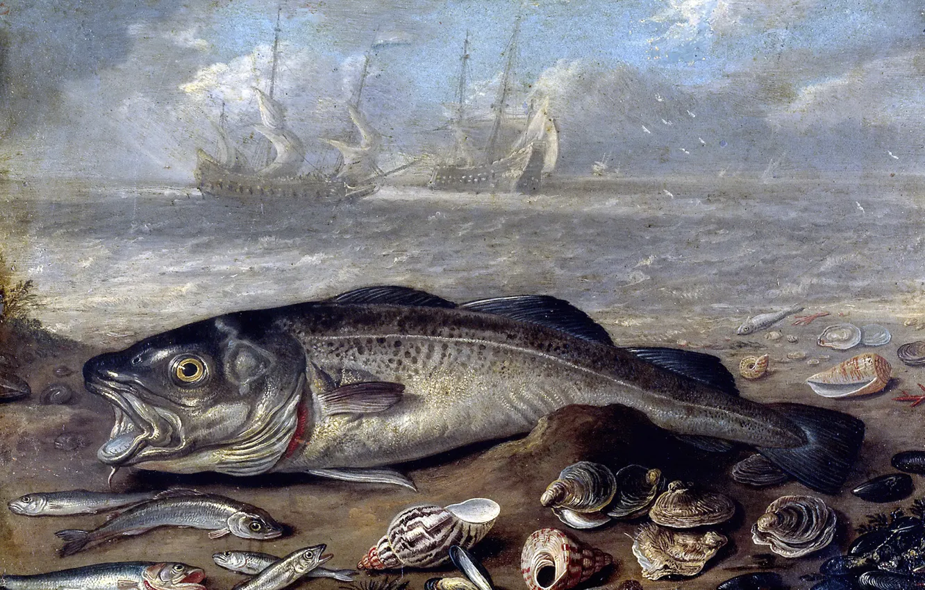 Photo wallpaper ship, picture, Jan van Kessel the Elder, still life in landscape, Fish and Shells on …