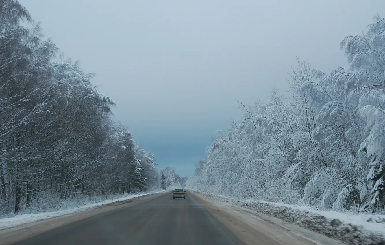 Photo wallpaper winter, road, trees