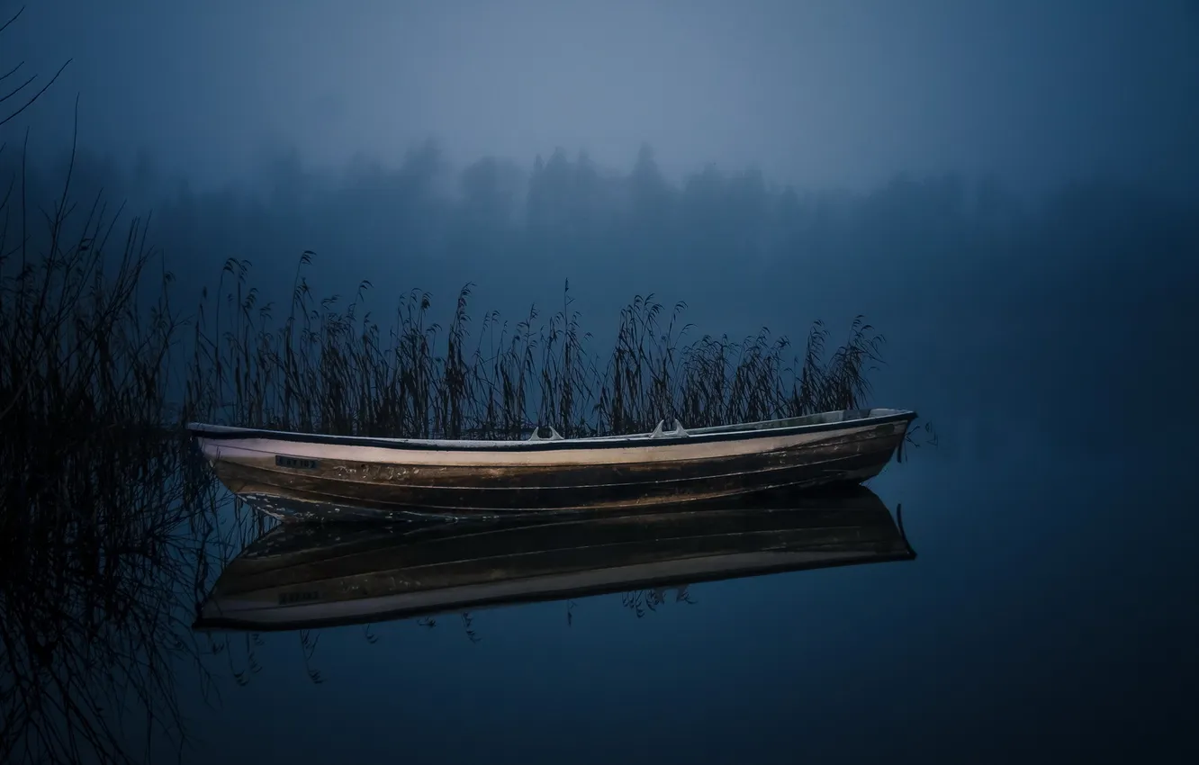 Photo wallpaper night, lake, boat