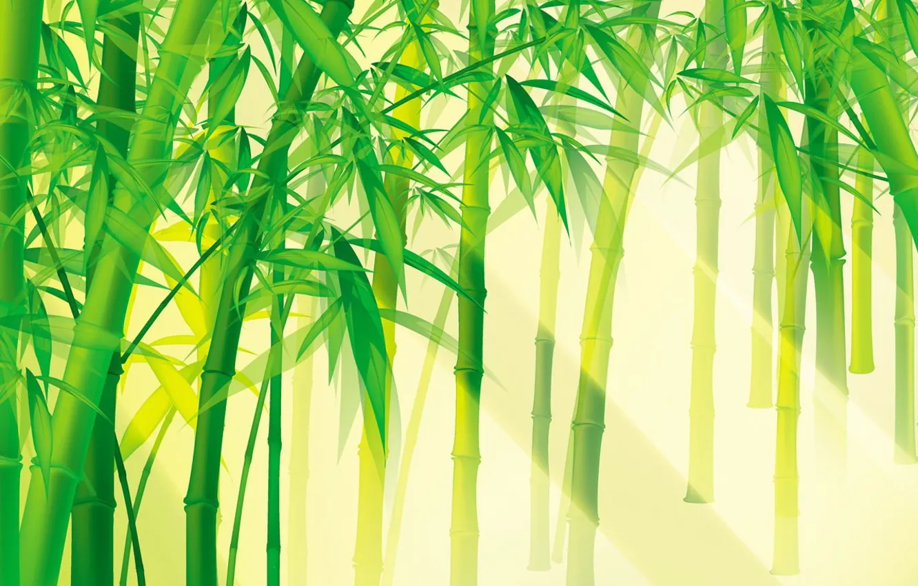 Photo wallpaper greens, light, Bambuk