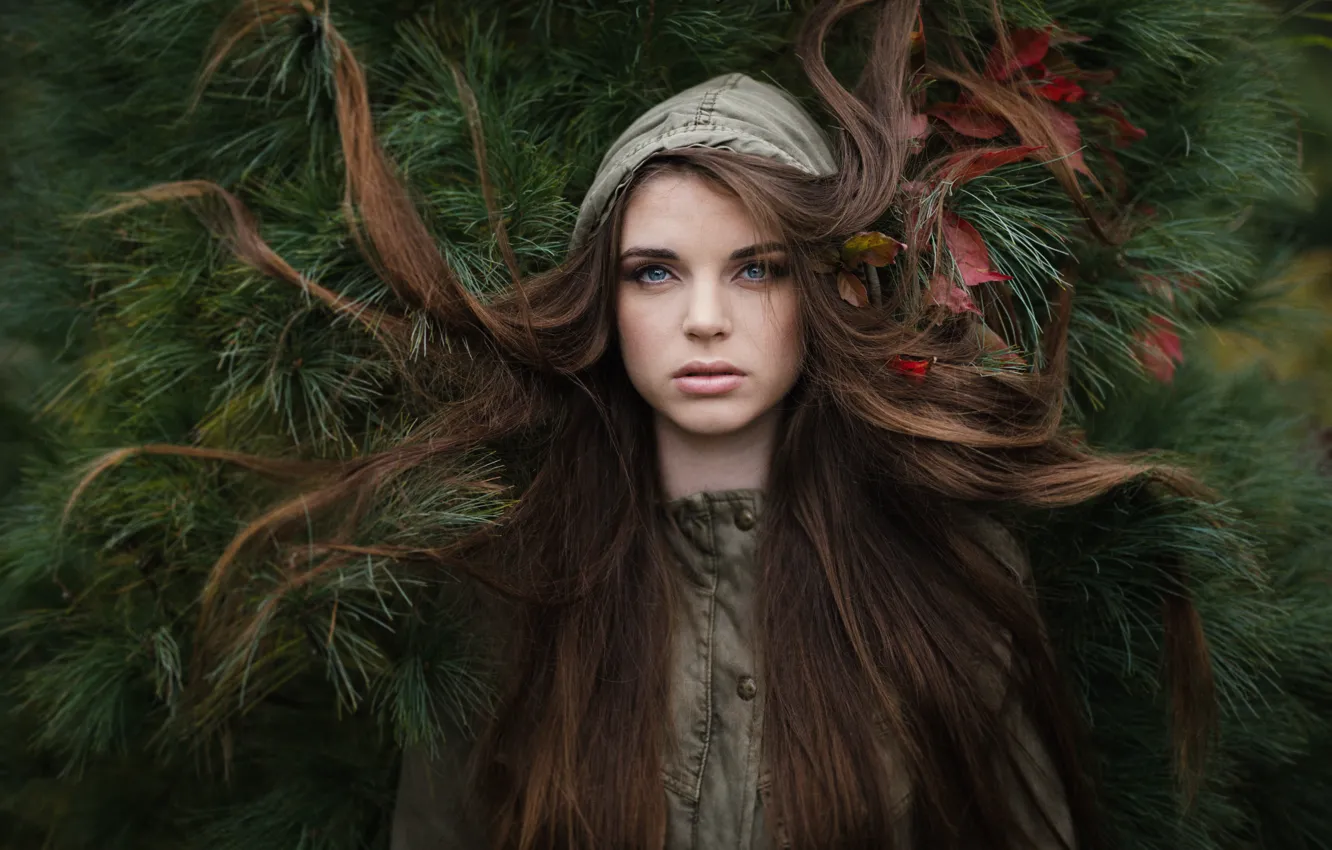 Photo wallpaper leaves, hair, Emma, Jesse Duke, Christmas tree needles