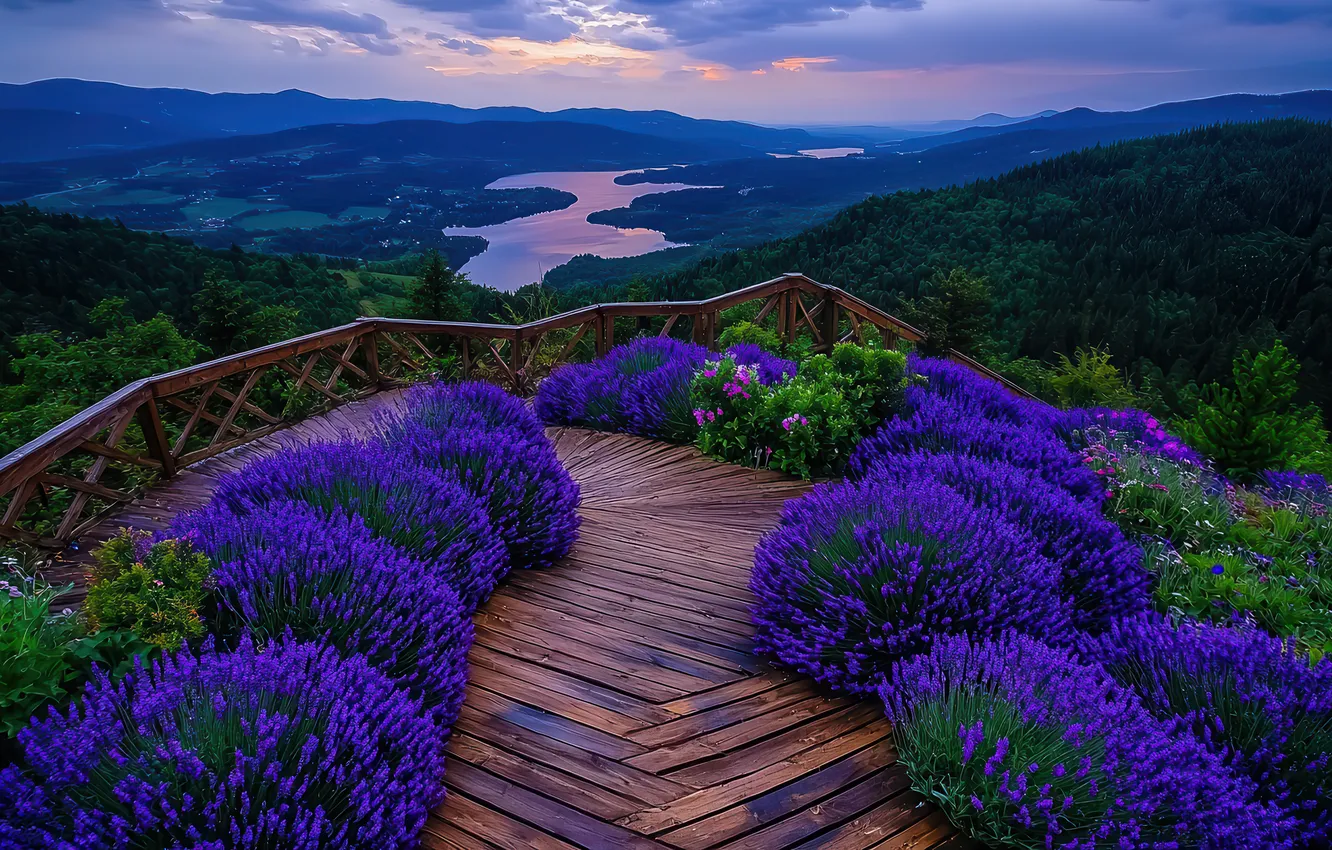 Photo wallpaper summer, landscape, flowers, mountains, nature, view, dal, garden