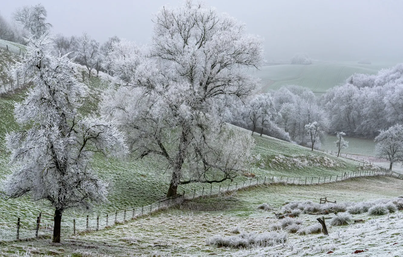 Photo wallpaper winter, frost, nature