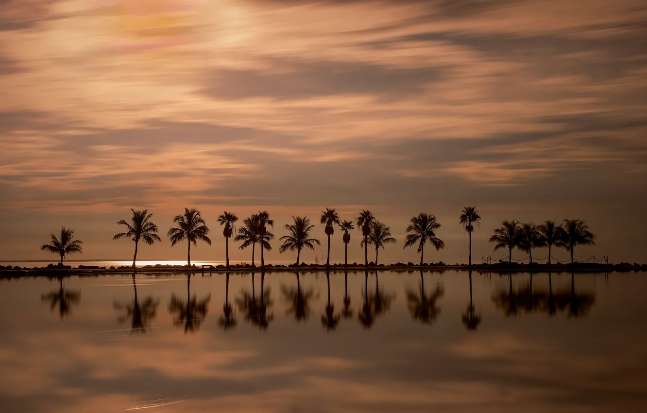 Photo wallpaper sunset, reflection, palm trees, the ocean, Miami, FL, Miami, Florida