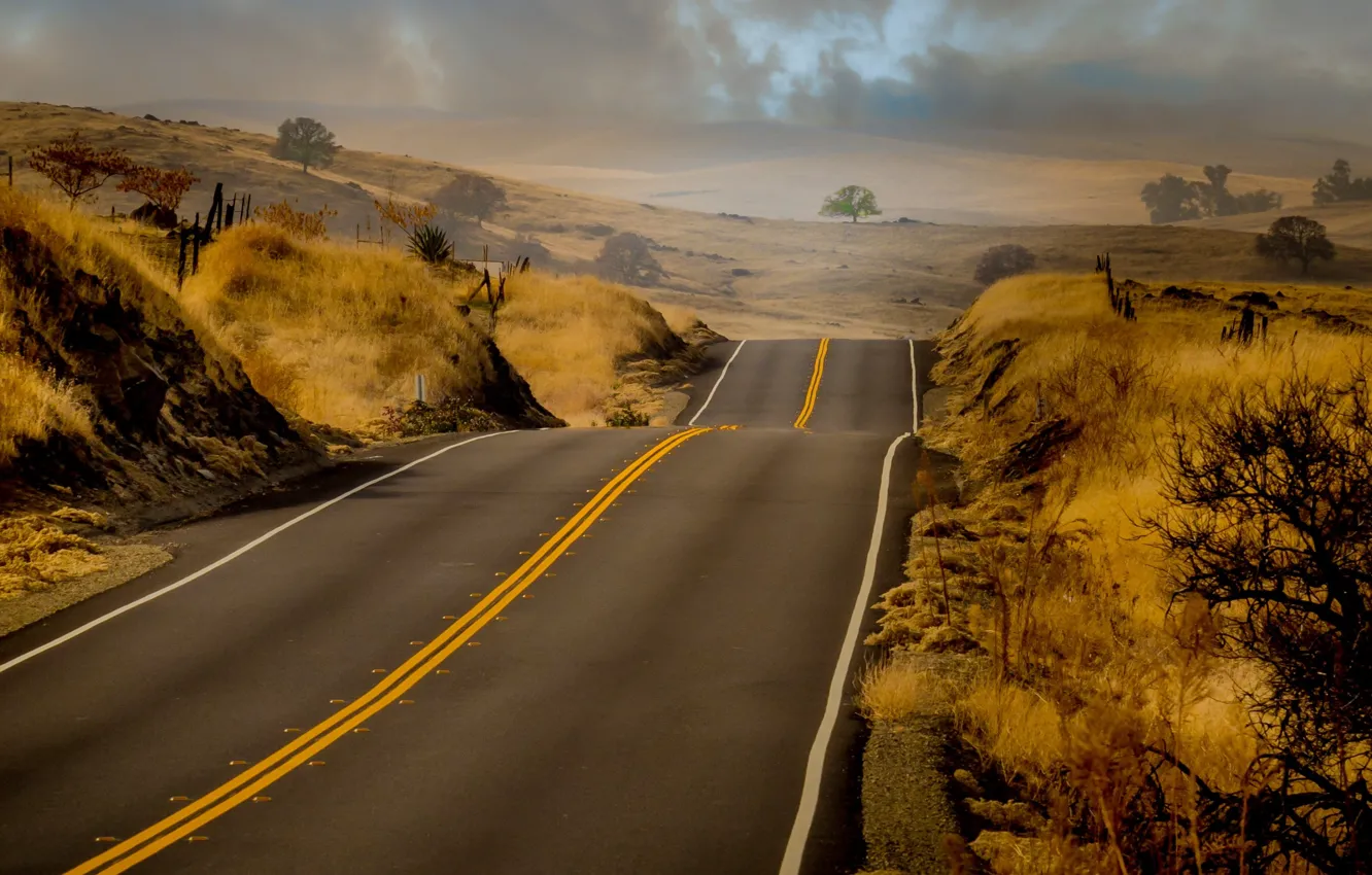 Photo wallpaper grass, road, nature, hills, Markup
