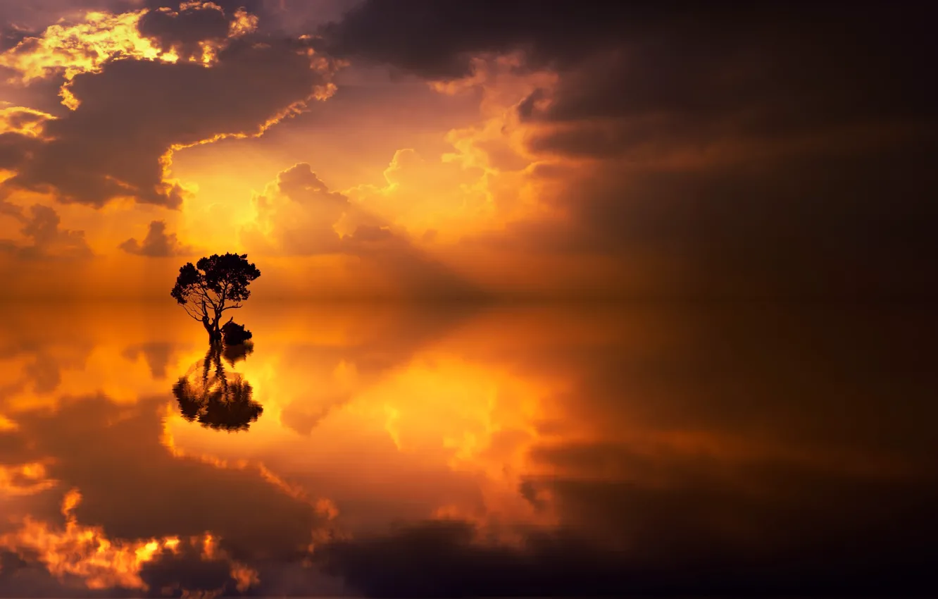 Photo wallpaper clouds, lake, reflection, tree