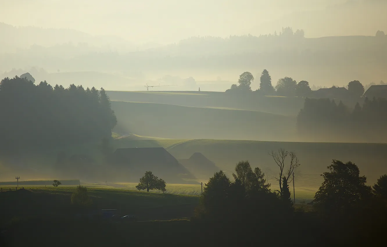 Photo wallpaper field, forest, fog, hills, dal, morning, haze