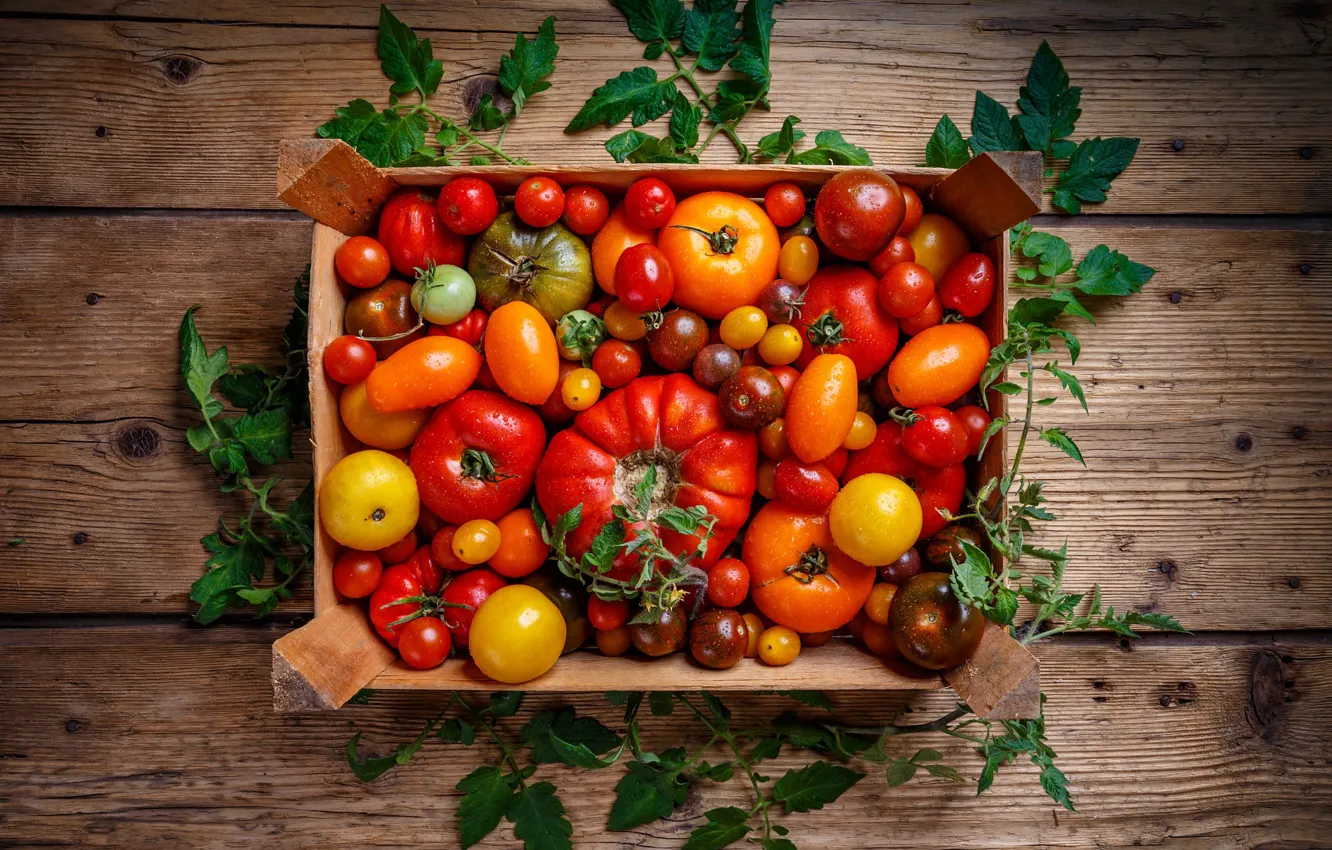 Photo wallpaper leaves, Board, harvest, box, tomatoes, different, a lot, home
