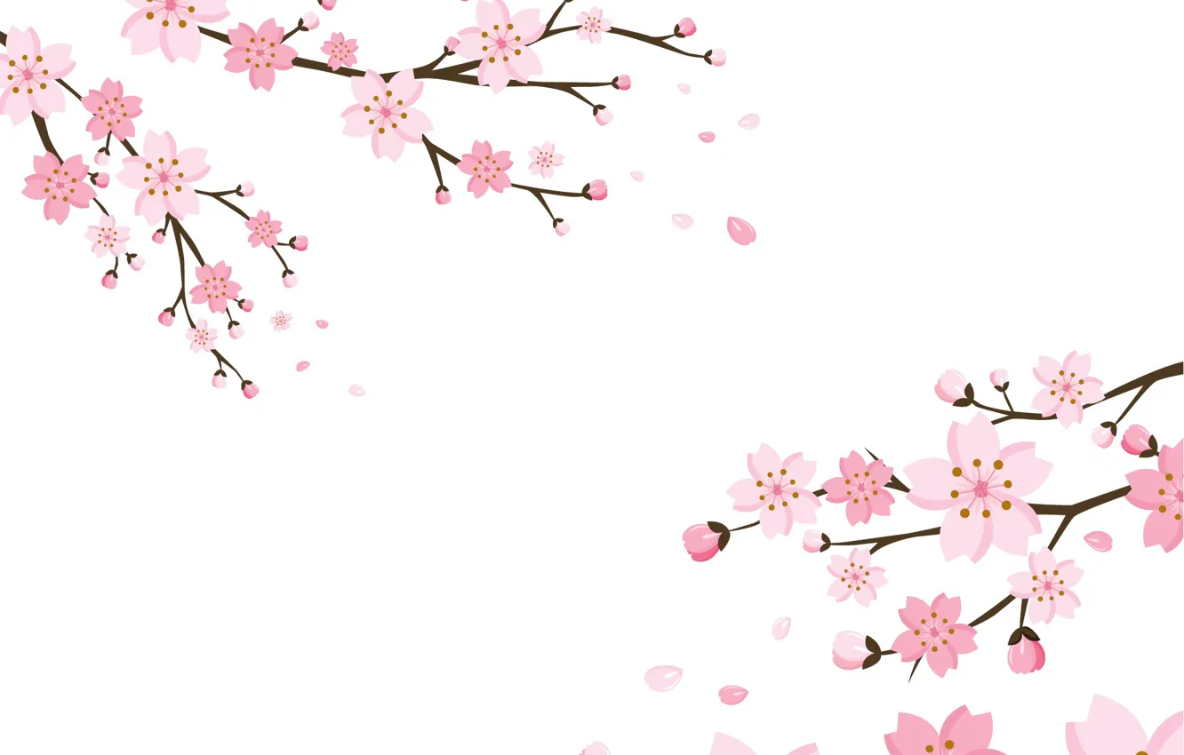 Photo wallpaper background, Wallpaper, flowers, blossom, background, cherry, texure