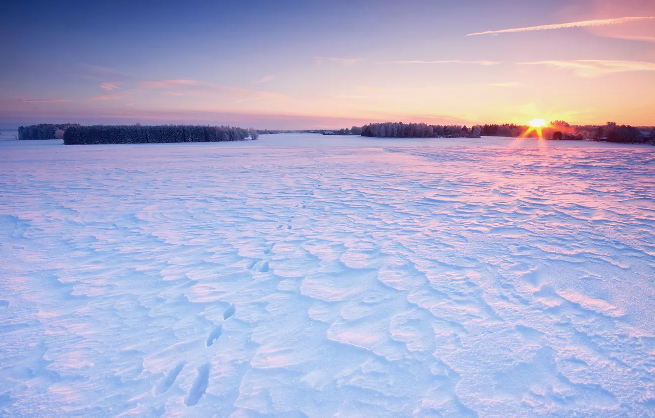 Photo wallpaper field, the sky, the sun, snow, trees, traces, home, Winter